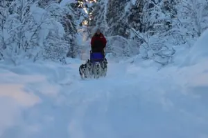 Tour image of 4-Day Dog Sledding Excursion with Overnight Stays in Swedish Lapland