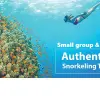 Image of Snorkeling