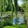 Image of Plantation Tours