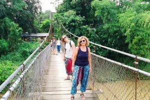 Tour image of Afternoon tour to Original Bamboo train. Bat cave. Killing cave