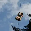 Image of Ziplining