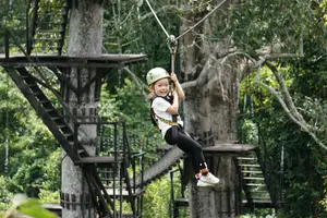 Tour image of Angkor Wat Park Zip Line Adventure in Siem Reap