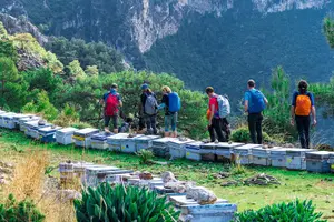 Tour image of Lycian Way Trekking Tour (7 Days)