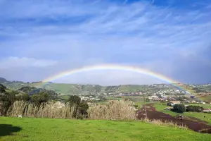 Tour image of Full-Day Private Tour - Faial Island