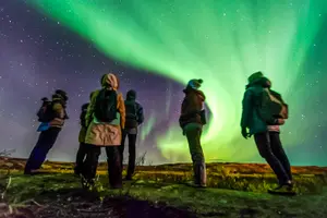 Tour image of From Reykjavik: Northern Lights Small Group Tour