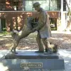 Image of Wildlife Encounters