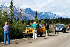 Tour image of Denali Highway Jeep Excursion