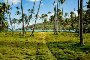 Tour image of Private Tour St Vincent Half Day