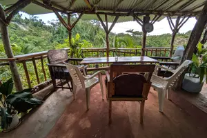 Tour image of Jamaican Roots Tropical Farm Tour - Taste & Explore (Negril) 2hr