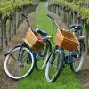 Image of Mountain Bike Tours