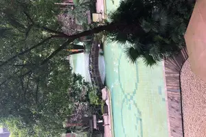Tour image of Chongqing Luxury Hot Spring and Massage Luxury Meal Private Tour