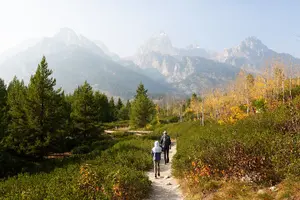 Tour image of From Jackson: Full-day Grand Teton Wildlife and Scenery Tour with Lunch