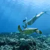 Image of Extreme Sports