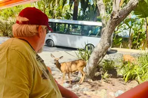 Tour image of Private Guided City Tour up to 12 Passengers