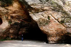 Tour image of Day trip to Gauja National Park: animals, castles and a cave