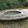 Image of Swimming