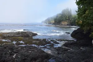 Tour image of Half Day Guided Tour of Olympic National Park