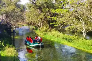 Tour image of Wasabi Farm Walking Tour & Lunch
