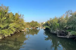 Tour image of Hoi An countryside biking tour, water buffalo+ basket boat ride