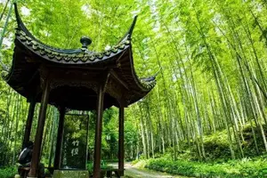 Tour image of Private Amazing Hangzhou Airport Layover Tour with Lunch or Dinner Option