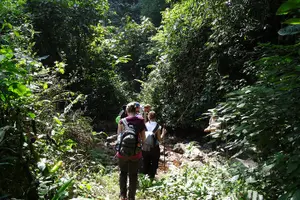 Tour image of Nalan Trail Kmu Ethnic Experience - 2days forest trek with homestay.