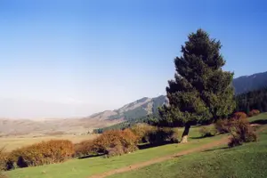Tour image of Urumqi
