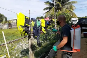 Tour image of Crystal Cavetubing and Ziplines ,with Ambergris Caye pickup