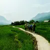 Image of Running Tours