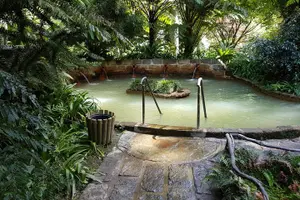 Tour image of Full Day Guided Tour to Furnas with Lunch Included