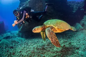 Tour image of Kauai's Ultimate South Shore 2 Tank Dive (Certified Divers Only)