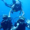 Image of Freediving