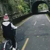 Image of Mountain Bike Tours