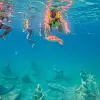 Image of Photography Tours