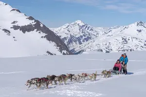Tour image of Anchorage Summer Glacier Dogsledding Tour