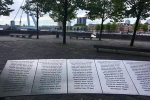 Tour image of Rotterdam Highlights Bicycle Tour