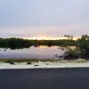Image of Nature Walks