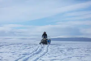 Tour image of 3-hour snowmobile adventure in Levi