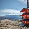 Image of Culture