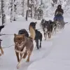 Image of Sledding