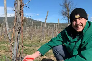 Tour image of Assemble your own wine cuvée in the vineyard