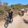 Image of Mountain Bike Tours