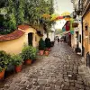 Image of Photography Tours