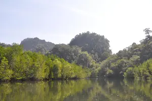 Tour image of 5 Hours Sharing Basis Kilim Mangrove Safari Boat Tour in Langkawi
