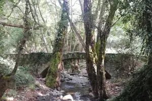 Tour image of E-bike tour from Omodos to Milomeris Waterfall-Milia Bridge through Platres.