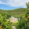 Image of Hiking Tours