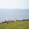 Image of Hiking Tours