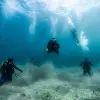 Image of Freediving