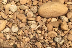 Tour image of In Depth Chateauneuf du Pape