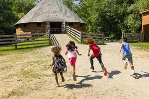 Tour image of George Washington's Mount Vernon Gardens & Grounds Admission