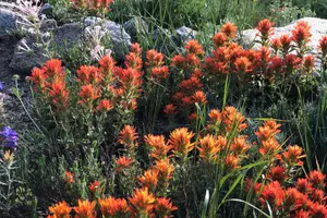 Tour image of Privately Guided Scenic Mountain Hike